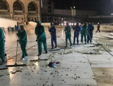 Σημάδια; - Ενα σμήνος ακρίδων χτυπά τη Μέκκα & ο μαγνητικός πόλος της Γης κάνει μια «αιφνίδια μετατόπιση» (βίντεο)